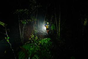 BIB: 
                            <button type="button" onclick="openModal(26230196)" class="btn btn-primary btn-sm float-right btn-popup" data-toggle="modal" data-target=".modal-high-quality">
                        <i class="fas fa-shopping-cart"></i> Add to Cart
                    </button>
                                            <button type="button" onclick="isThisMe(26230196, true)" class="btn btn-success btn-sm float-right btn-popup btn-isme hidden" data-toggle="tooltip" data-placement="bottom" title="นี่คือรูปของคุณใช่ไหม คลิกที่นี่เพื่อเอาเข้าอัลบั้ม">
                        <i class="fas fa-plus"></i> Add to album
                    </button>
                    <button type="button" onclick="isThisMe(26230196, false)" class="btn btn-warning btn-sm float-right btn-popup btn-isnotme hidden">
                        <i class="fas fa-ban"></i> Remove from album
                    </button>